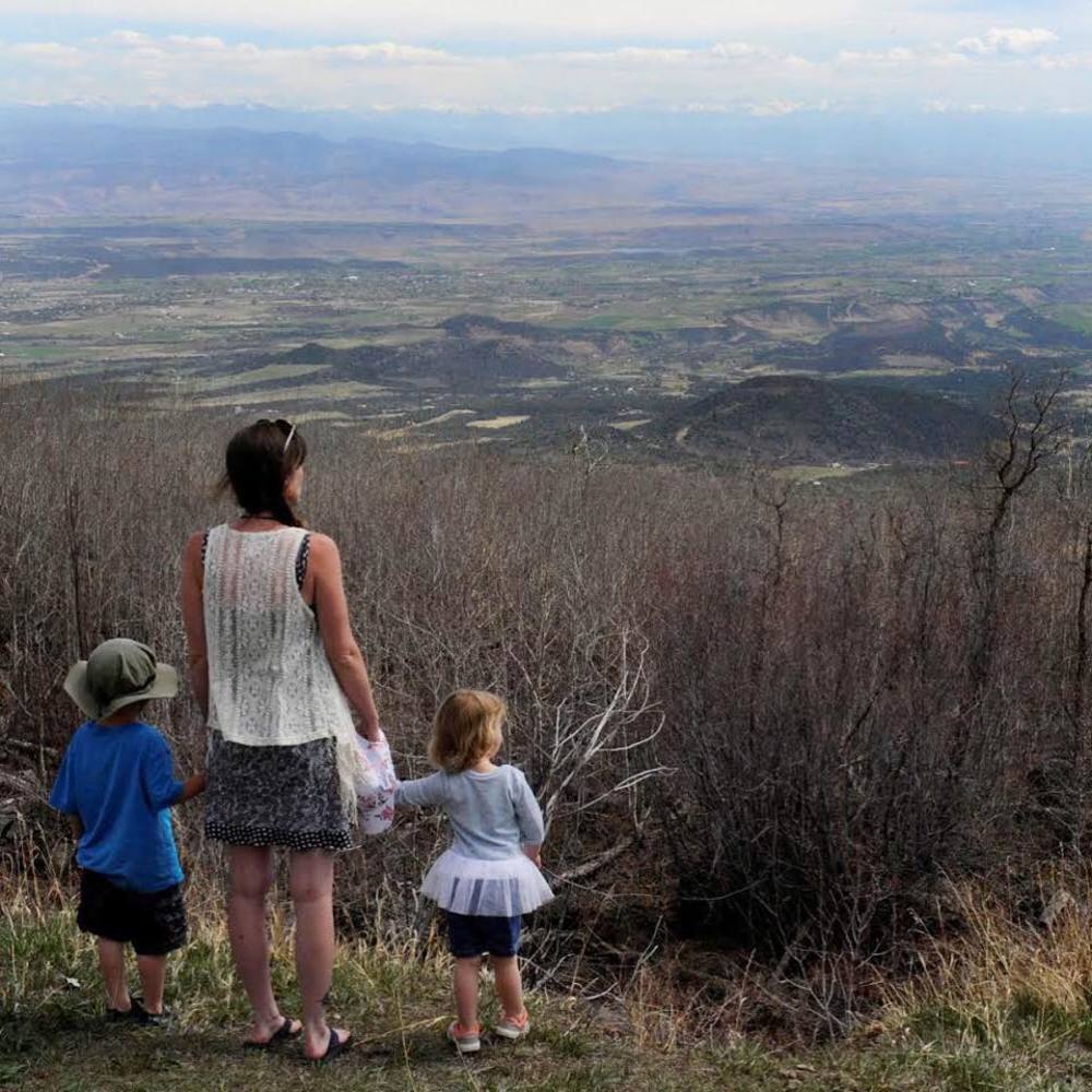 Meet your Posher, Willow